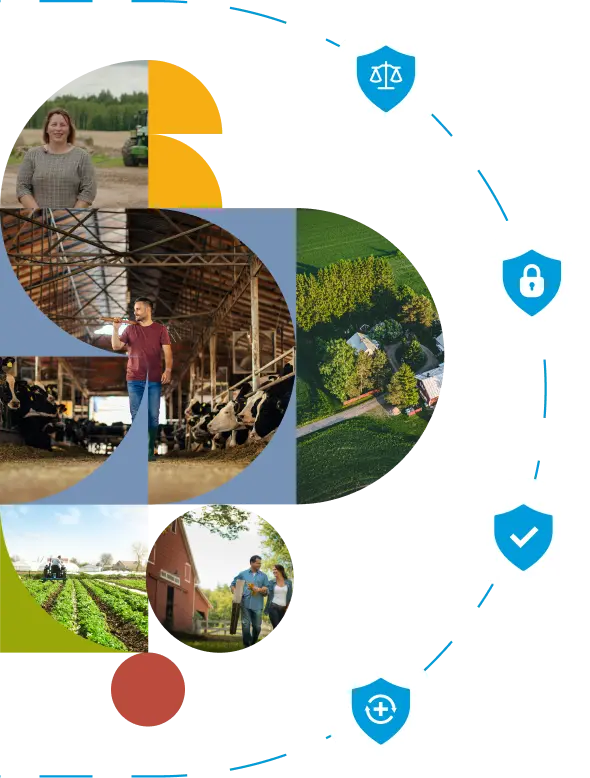 Herojaus iliustracija: investuotojai ir ūkio turtas